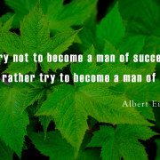 Albert Einstein Quotes 3