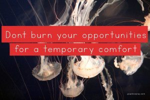 life quote