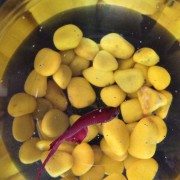 Small Fish Tank Free Photo 7