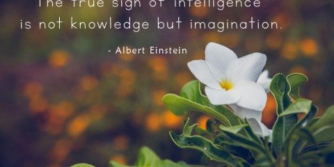 Albert Einstein's Quote about Imagination 31