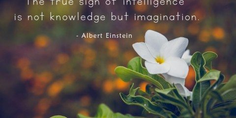 Albert Einstein's Quote about Imagination 7