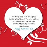 Happy Valentine's Day Greeting -2169 9