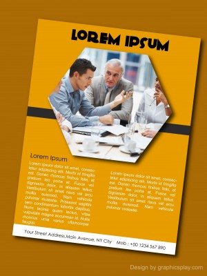 Flyer Design Template ID - 3249 2