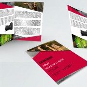 Brochure Design Template ID - 3481 6