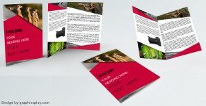 Brochure Design Template ID - 3481 8