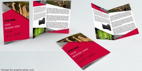 Brochure Design Template ID - 3481 18