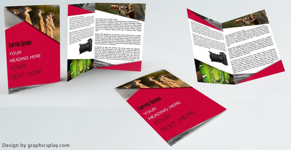 Brochure Design Template ID - 3481 1