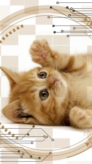 Wallpaper for Mobile ID - 3978 3