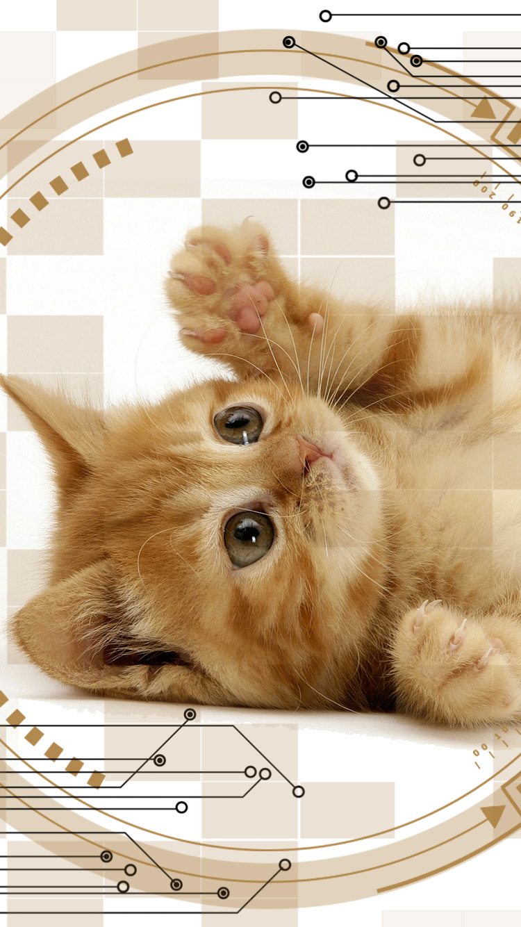 Wallpaper for Mobile ID - 3978 1