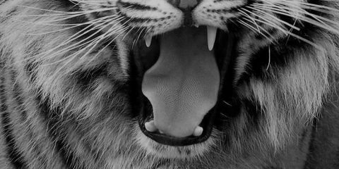 Wallpaper for Mobile ID - 4025 19