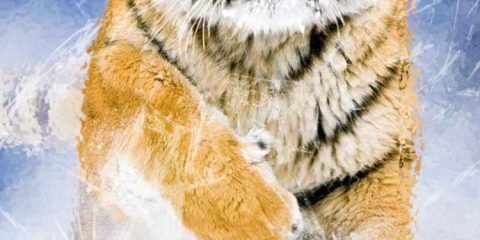 Wallpaper for Mobile ID - 4026 17