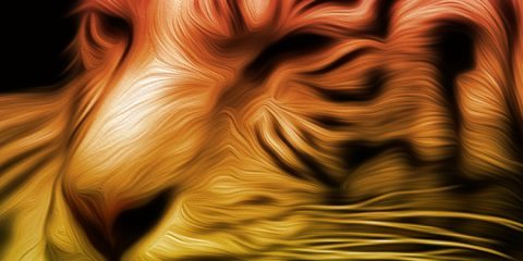 Wallpaper for Mobile ID - 4027 26