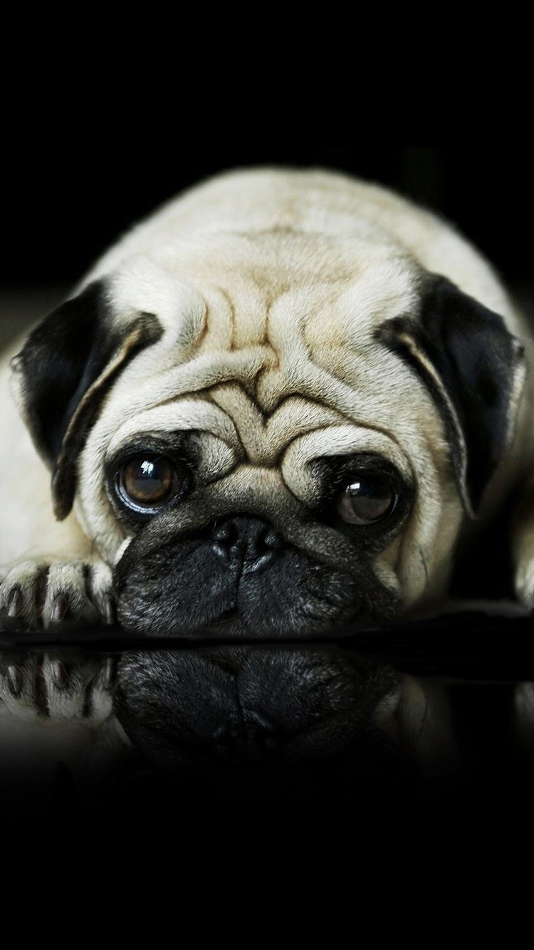Wallpaper for Mobile ID - 4065 1