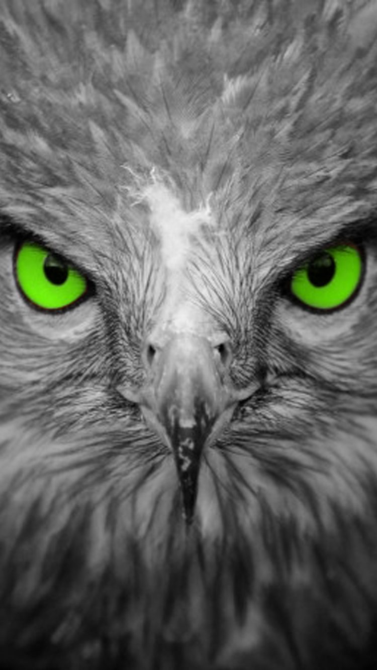 Wallpaper for Mobile ID - 4067 1